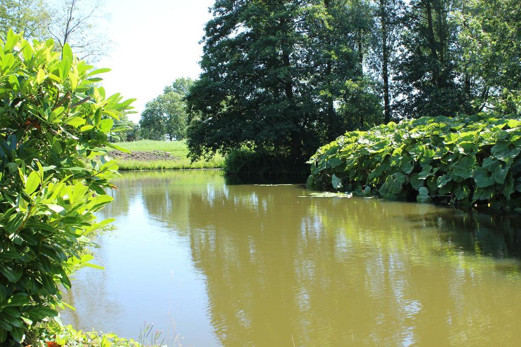 Bed And Breakfast De Lijster Zuid-Scharwoude Eksteriør billede